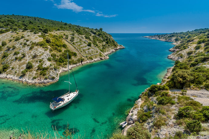 Protecting Sea Life and Our Oceans: Why We Need To Sail Sustainably